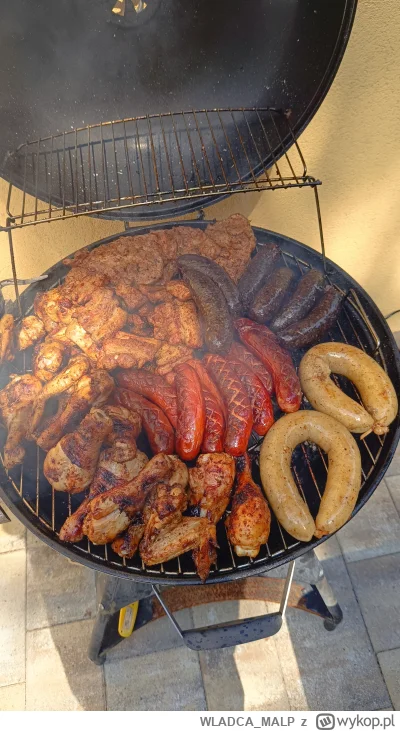 WLADCA_MALP - #zdjeciatarzana #grill