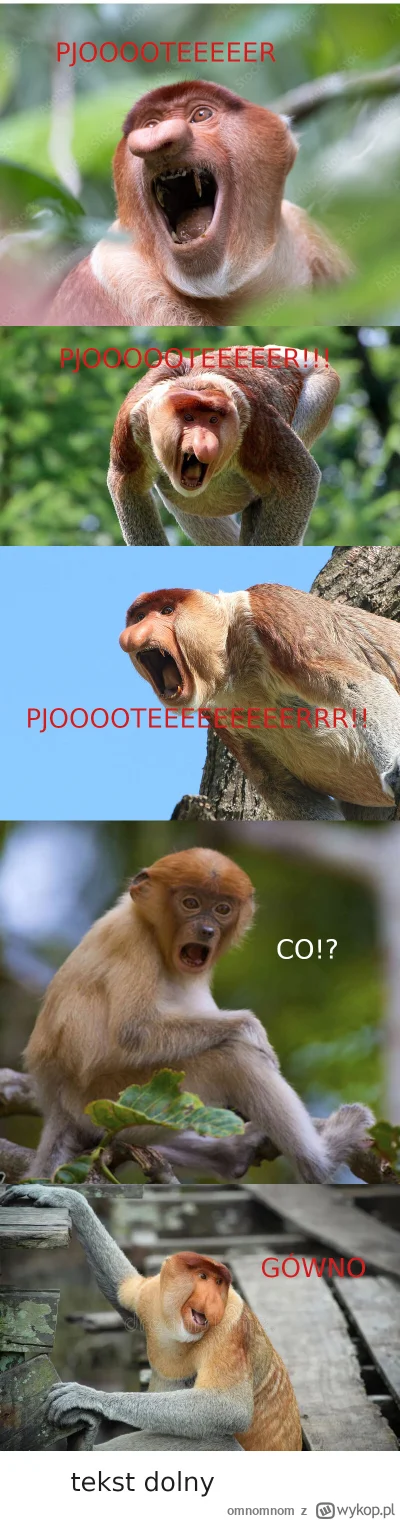 omnomnom - #konkursnanajbardziejgownianymemznosaczem