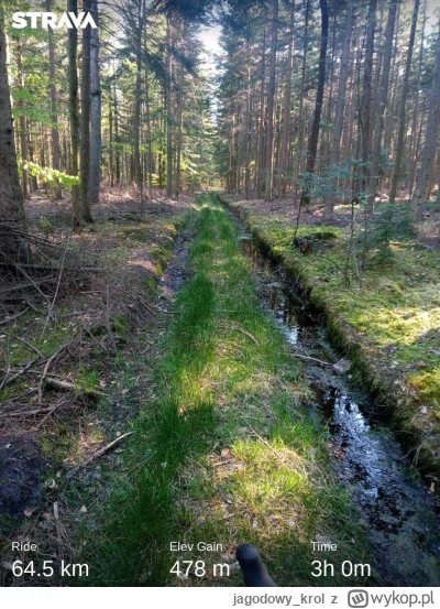 jagodowy_krol - >Rower Gravel nie nadaje się do jazdy po bezdrożach, a wręcz mam wraż...