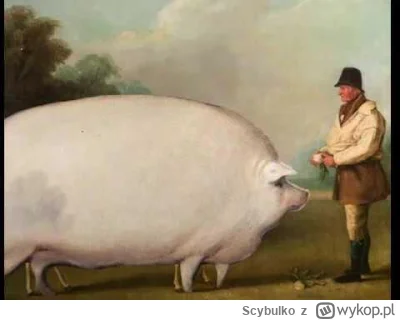 Scybulko - Dzień dobry państwu. Dzisiaj mamy czwartek, godzina eeee 9:40 i chciałem d...