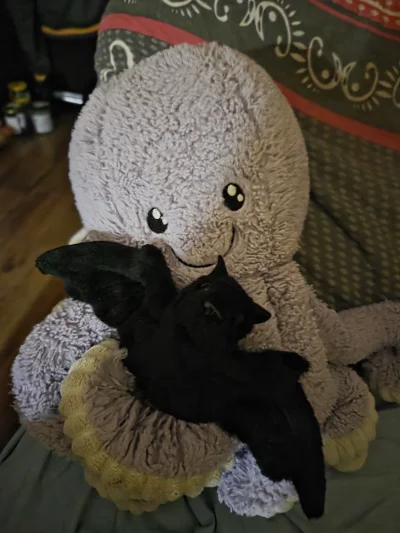 SzycheU - Marian ma teraz przyjaciela nietoperka. Cóż za piękny przykład symbiozy mię...