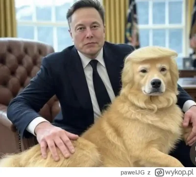 pawelJG - #smiesznypiesek #pdk #usa #polityka