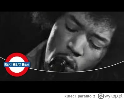 kureci_paratko - #zapomnianamuzyka
