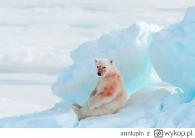 annlupin - grałam w gre a co uwas