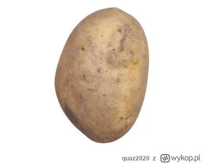 quaz2020 - @Wilczynski