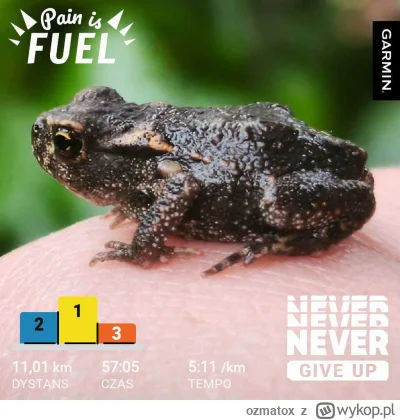 ozmatox - 23117,08 - 11,01 = 23106,07

#sztafeta #bieganie #biegajzwykopem

Pucharo R...