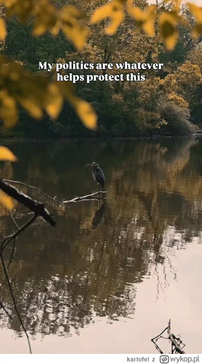 kartofel - #solarpunk