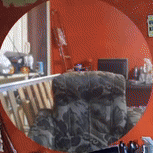 bizzi0801 - #danielmagical #patostreamy