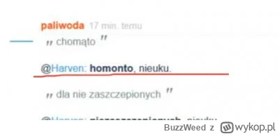 BuzzWeed - @paliwoda: