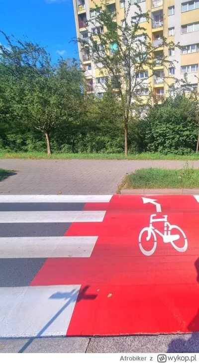 Afrobiker - #heheszki #rower #infrastrukturaboners 

A uj zostaw tak tylko strzałkę d...