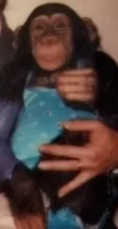 kto-wie-ten-wie32 - @rolek2145: Widzę go na zdjęciu