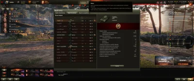 TiniMini_pl - Zrobić na K-91 stalową ścianę to chyba więcej szczęścia niż umiejętnośc...