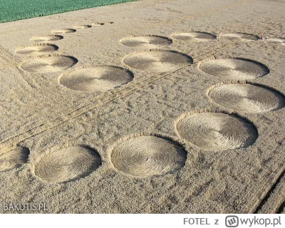 FOTEL - mam dla was ankietę - kto wg was tworzy tajemnicze kręgi w zbożu? jak sądzici...