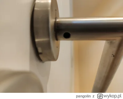 pangolin - Mam problem z zdjęciem klamki w drzwiach wewnętrznych. Wykręciłem wkręty o...
