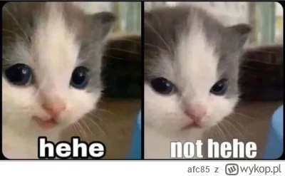 afc85 - @Zbonszyn: 
 hehe

50 lat później:
 not hehe