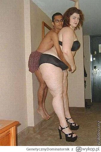 GenetycznyDominatornik - #grubaimanlet