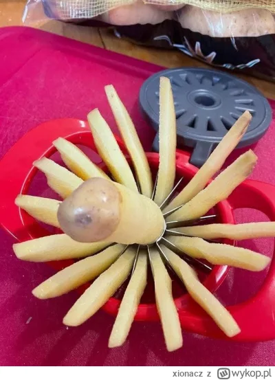 xionacz - Okazało się, że maszynka do jabłek nadaje się również do ziemniaków.

#gotu...