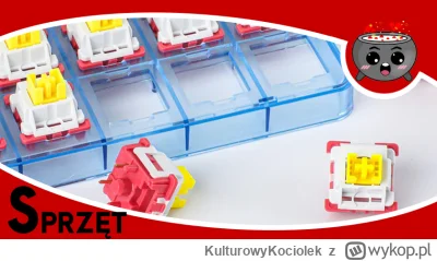 KulturowyKociolek - Poszukujesz nowych wrażeń z pisania na swojej klawiaturze mechani...
