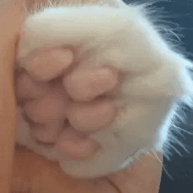 matti-nn - @RicoElectrico: