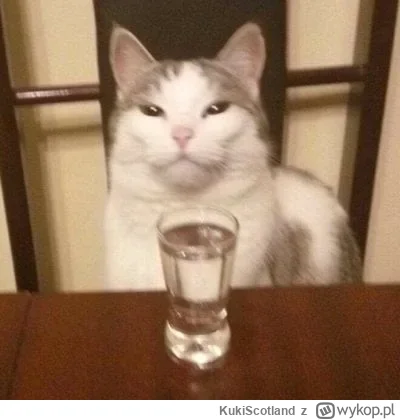 KukiScotland - @qoop: ...za rożnowe( ͡º ͜ʖ͡º)