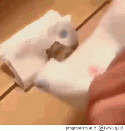 programista3k - Pora spać. #przegryw