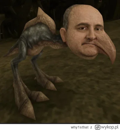 why1sthat - @dan777 a ja kupilem taka maskotke