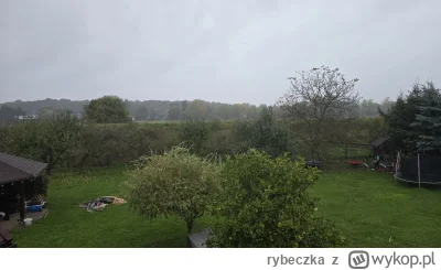 rybeczka - #dziendobry #krakow
Piękny p---------k 🤣
Typowa k---a polska pogoda.

Obs...