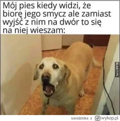 sandzinka - #memy #humorobrazkowy #heheszki