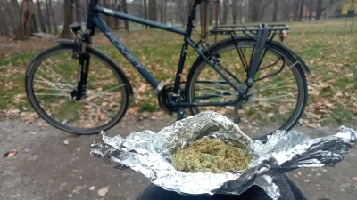 michael-d - Rowerem przez świat.