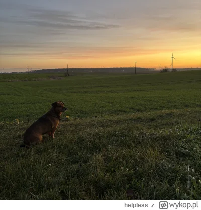 helpless - @helpless: ehh, o ile lepszy jest taki spokój i cisza od hałasu i syfu duż...