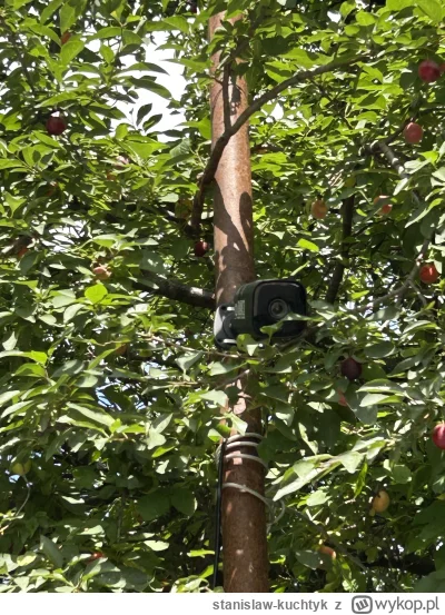 stanislaw-kuchtyk - #kononowicz motoring vol2, skierowany poza działkę filmujący ulic...