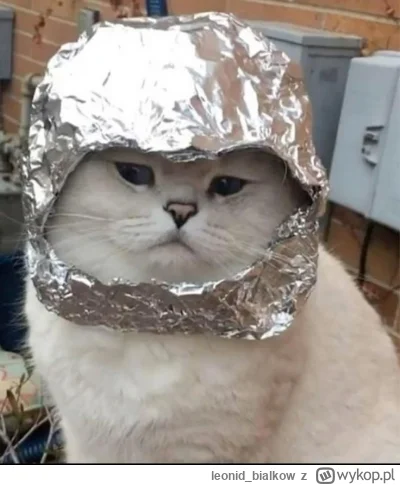 leonid_bialkow - @Graner: zara reptiliane z dziennej przyjdo