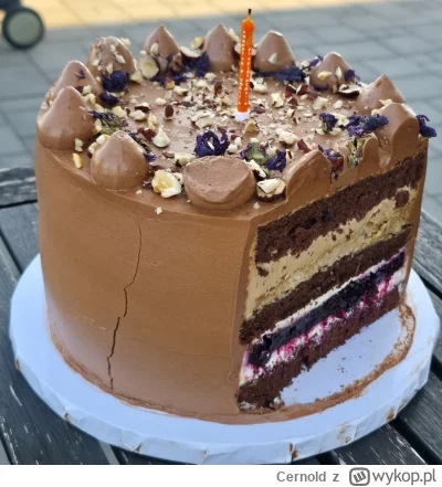 Cernold - @rrobot orzechowo, porzeczkowo, czekoladowo, śmietankowy