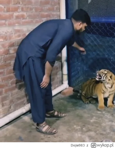 Dejw983 - #przegryw To jest film z insta to linka nie mogę wysłać,ale bardzo dobrze z...