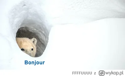 FFFFUUUU - @Jogurt123: