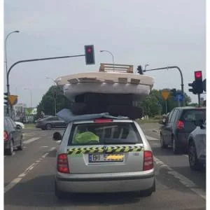 lazzwave - Chcesz codziennie innej szpary? Niunie lecą na pieczary #kononowicz