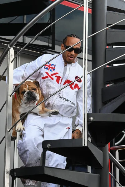 Gieekaa - Gdzie są animalsi? Tak psów nie powinno się nosić.
#f1