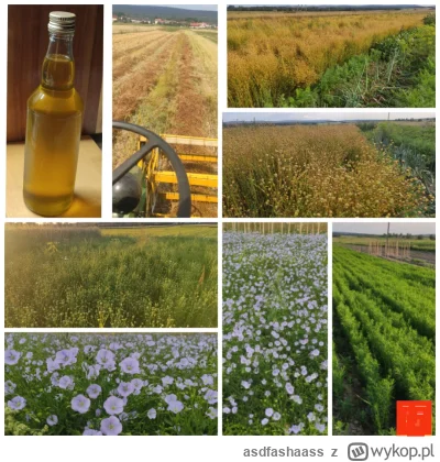 asdfashaass - miirki i miruny, zachciało mi się na początku roku spróbować zrobić ole...