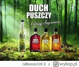 GINandJUICE - Co robić...