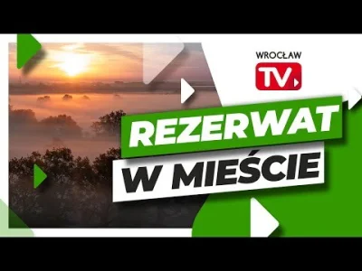 murison - @susi33: https://www.wroclaw.pl/zielony-wroclaw/pola-irygacyjne-osobowice-r...