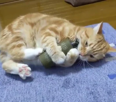 dywergent - uciekajcie, ja przyjme na siebie wybuch