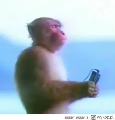 piggy_piggy - #famemma