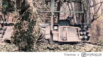 Trismus - Z tego co zrozumiałem ten twardy przetrwał już cztery gongi.