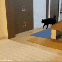 wfyokyga - Siedze se juz