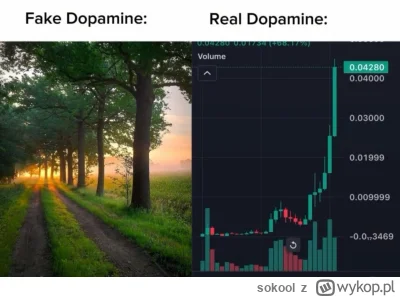 sokool - #gielda #gpw #kryptowaluty