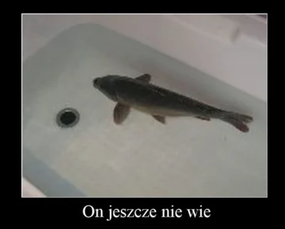 derivatives - @makeMyLifeEasier: ( ͡º ͜ʖ͡º)