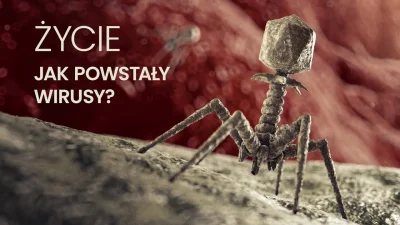 Goglez - Znalezisko: Jak powstały wirusy?
 Wirusy to bardzo małe twory infekujące róż...
