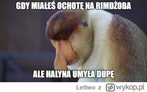 Letheo - #nosacz #heheszki #humorobrazkowy