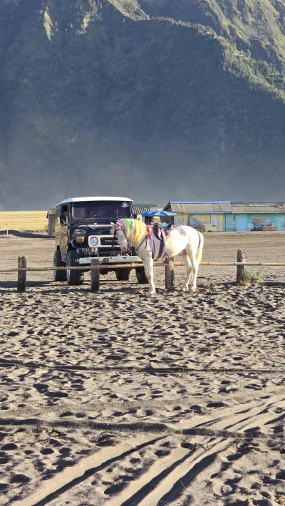 henk - @henk "jednorożec" do transportu Chińczyków do Bromo