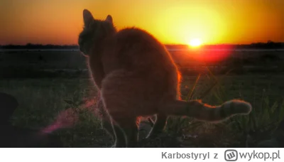 Karbostyryl - @Ranger: